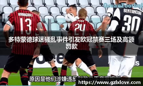多特蒙德球迷骚乱事件引发欧冠禁赛三场及高额罚款